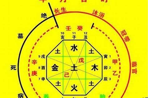 八字喜用神|八字喜用神查询